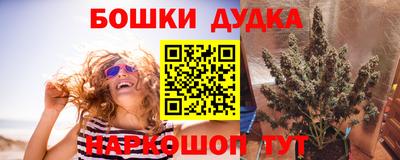 соль ск Аргун