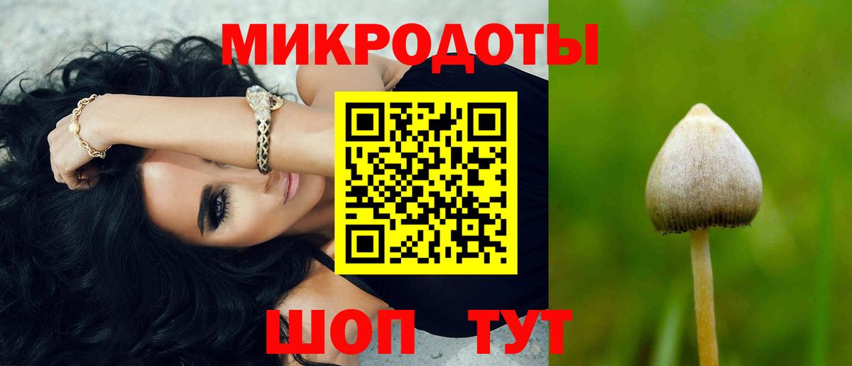 Псилоцибиновые грибы Psilocybine cubensis  Вход с VPN  Апрелевка 